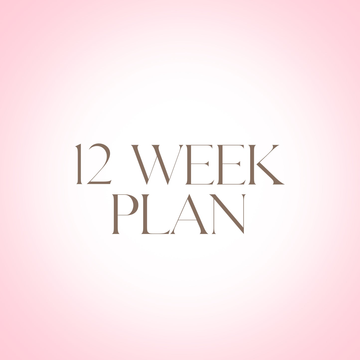 12 Week Plan